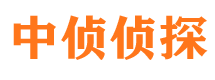 博湖调查公司